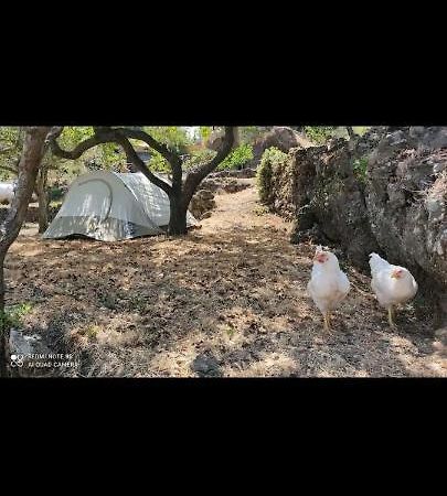Tenda Etna Into The Wilde Montargano エクステリア 写真