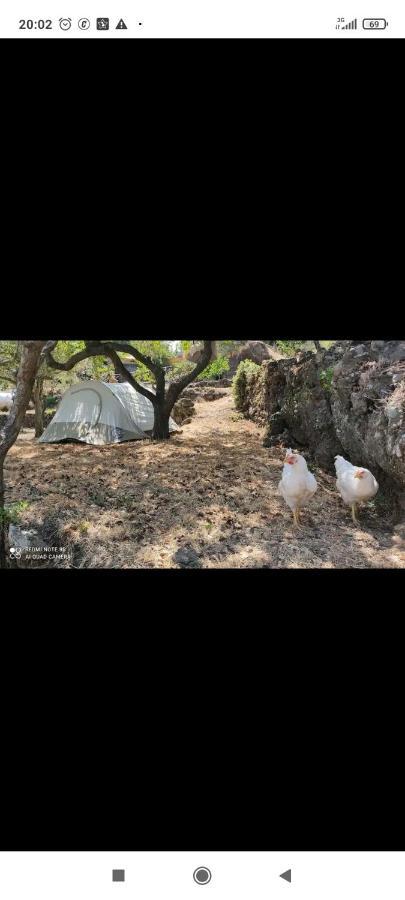 Tenda Etna Into The Wilde Montargano エクステリア 写真